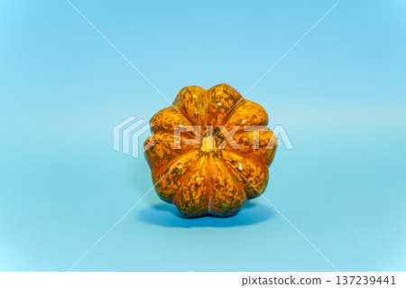 Small decorative orange pumpkin on a vibrant blue background. Minimalist studio shot of a textured pumpkin centered on a solid blue surface 137239441