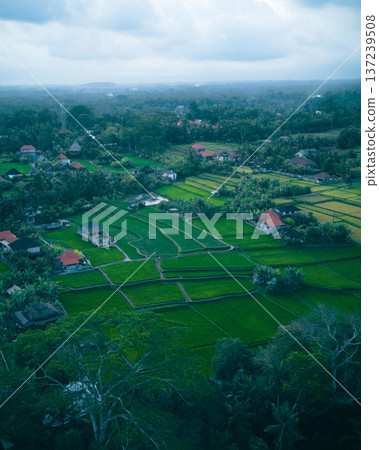 Village Farming Landscape. Rural Fields With Homes. Agricultural Area Featuring Houses And Irrigation Village Farming Landscape. Rural Fields With Homes. Agricultural Area Featuring Houses And Irrigation 137239508