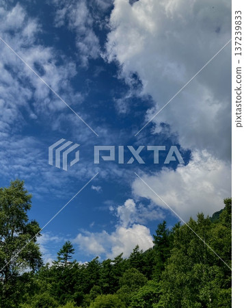 Refreshing blue sky and clouds 137239833
