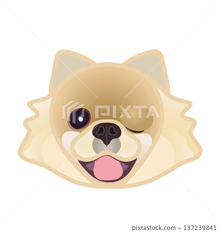 博美犬臉部插圖 137239841