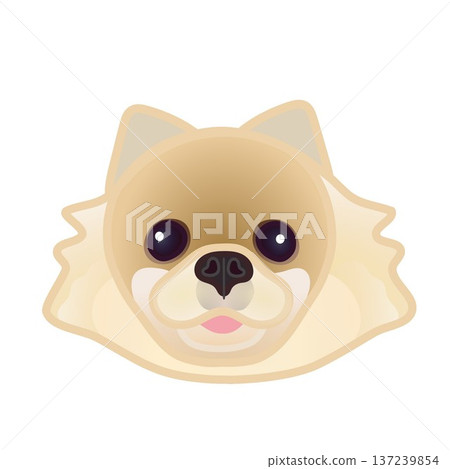 博美犬臉部插圖 博美犬臉部插圖 137239854