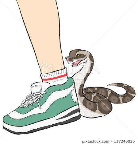 Illustration of a foot about to be bitten by a viper 137240020