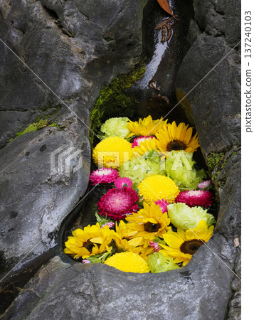 Flower water fountain at Tomioka Hachimangu Shrine, Koto Ward 137240103