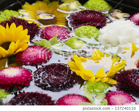 Flower water fountain at Tomioka Hachimangu Shrine, Koto Ward 137240110
