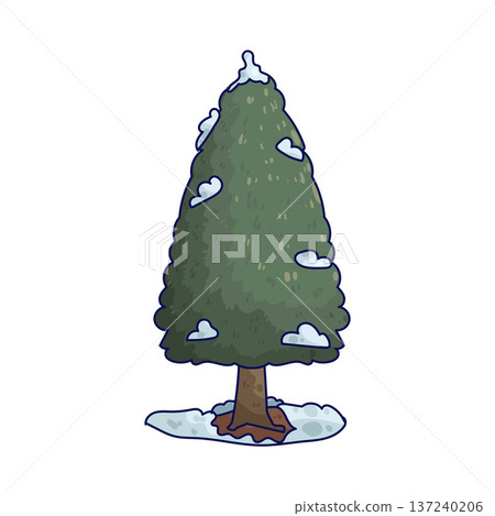 Illustration of Evergreen Illustration of Evergreen 137240206