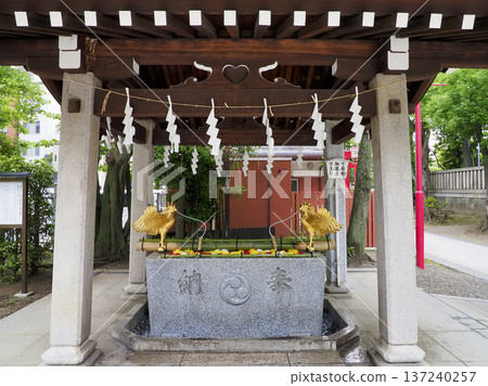 Flower water fountain at Tomioka Hachimangu Shrine, Koto Ward Flower water fountain at Tomioka Hachimangu Shrine, Koto Ward 137240257