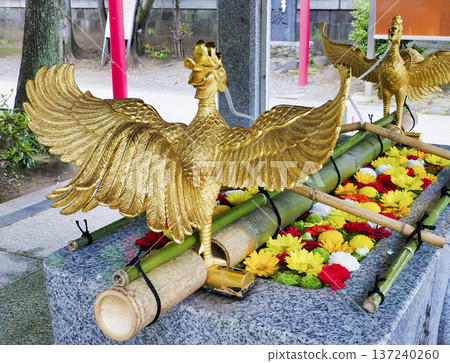 Flower water fountain at Tomioka Hachimangu Shrine, Koto Ward 137240260