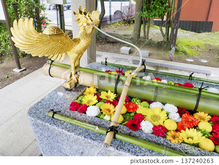 Flower water fountain at Tomioka Hachimangu Shrine, Koto Ward 137240263