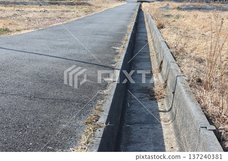 稻田旁一條筆直、空曠的水道 137240381