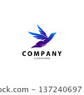 falcon feather logo design vector 137240697