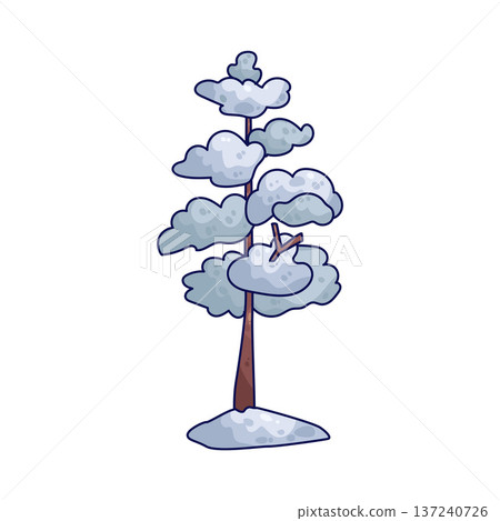 Illustration of Snow Pine Illustration of Snow Pine 137240726