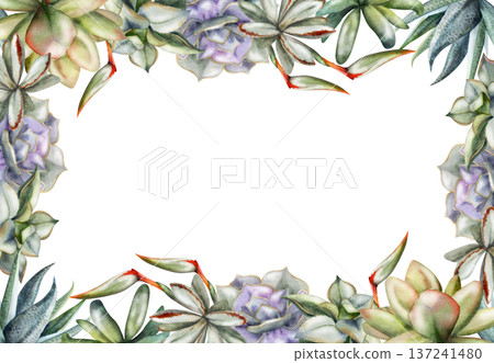 Echeveria, aloe vera, kalanchoe succulents, strelitzia flower spikes plant border. Isolated frame illustration hand drawn in watercolor. Sustainable lifestyle printables, florist marketing materials. Echeveria, aloe vera, kalanchoe succulents, strelitzia flower spikes plant border. Isolated frame illustration hand drawn in watercolor. Sustainable lifestyle printables, florist marketing materials. 137241480