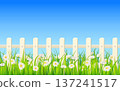 Spring Summer banner green grass, daisy flowers, white fence 137241517