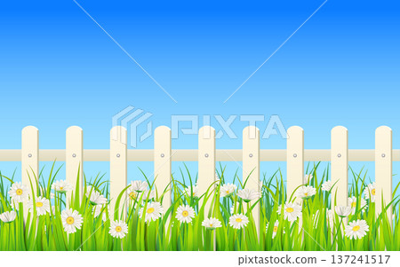Spring Summer banner green grass, daisy flowers, white fence Spring Summer banner green grass, daisy flowers, white fence 137241517