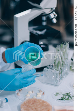 Chemical Laboratory of the Food supply . Food in laboratory, dna modify .GMO Genetically modified food in lab . Chemical Laboratory of the Food supply . Food in laboratory, dna modify .GMO Genetically modified food in lab . 137241820
