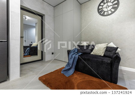 Modern Living Area with Sofa, Orange Rug and Roman Clock 137241924