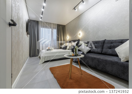 Modern Studio Apartment Interior with Sofa, Bed and Minimalist Decor Modern Studio Apartment Interior with Sofa, Bed and Minimalist Decor 137241932