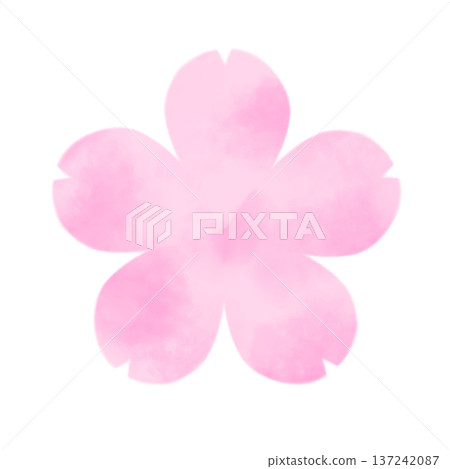 Soft watercolor cherry blossom illustration Soft watercolor cherry blossom illustration 137242087