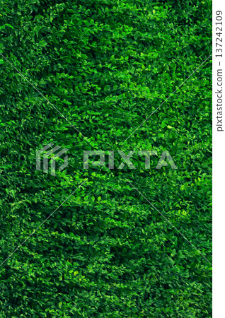 Bright green vegetation. Greenery background. Background image of lush green vegetation for nature and landscape design projects. Bright green vegetation. Greenery background. Background image of lush green vegetation for nature and landscape design projects. 137242109