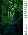 Tunnel of love in Ukraine, green trees and the railroad. Railway in the forest. 137242110