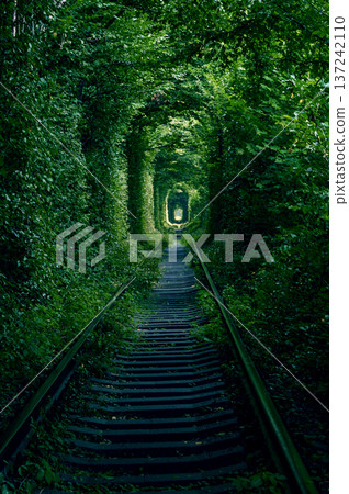 Tunnel of love in Ukraine, green trees and the railroad. Railway in the forest. Tunnel of love in Ukraine, green trees and the railroad. Railway in the forest. 137242110