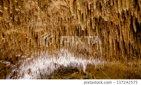 鐘乳石 玉泉洞 沖繩 沖繩世界文化王國 Stalactites Stalagmites 玉泉洞 137242575