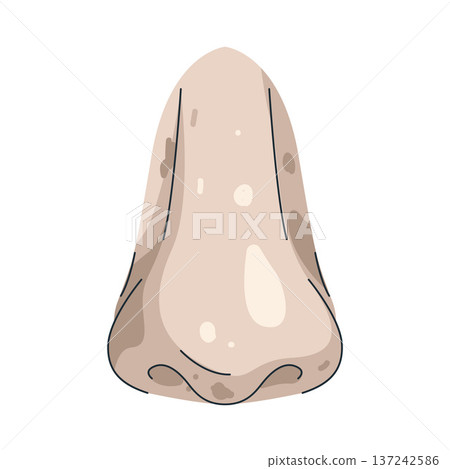 Illustration of human nose Illustration of human nose 137242586