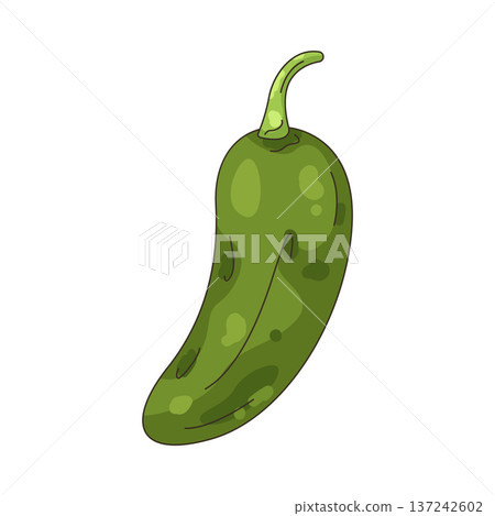Illustration of green chili pepper Illustration of green chili pepper 137242602