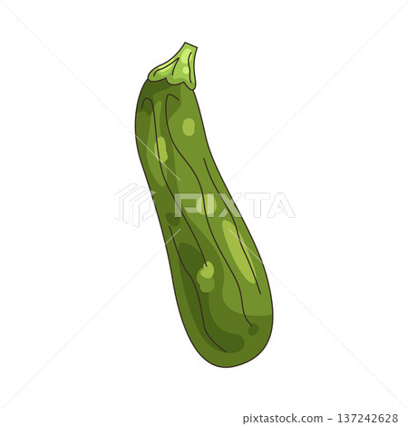 Illustration of Green zucchini 137242628