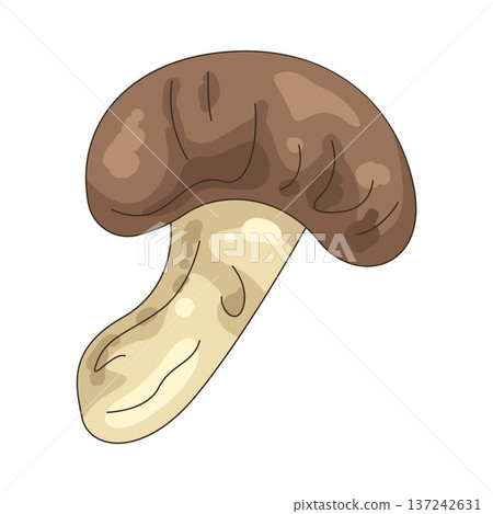 Illustration of mushroom Illustration of mushroom 137242631