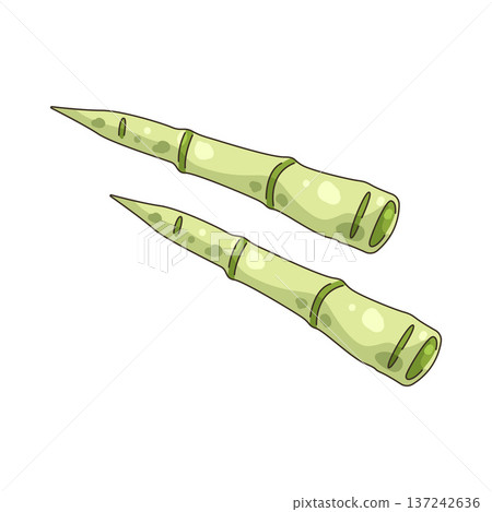Illustration of Bamboo shoot Illustration of Bamboo shoot 137242636