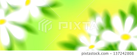 Spring background with gradient blur daisy flowers 137242808