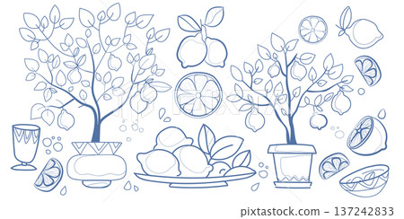 Lemon branches with citrus fruit slices and leaves Lemon branches with citrus fruit slices and leaves 137242833