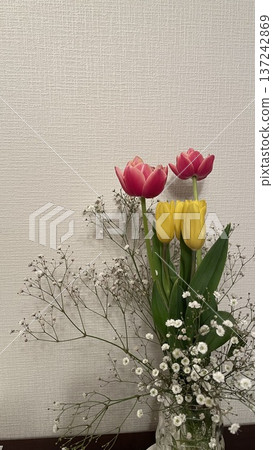 鬱金香花預示著春天的到來 137242869