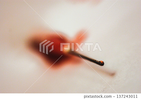 blood in syringe vaccine medicine 137243011