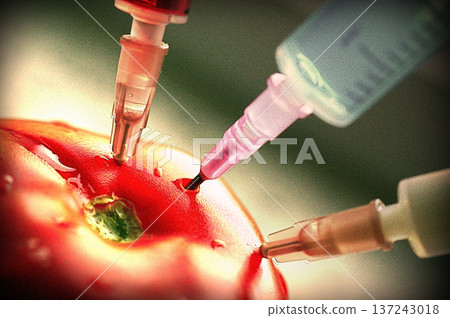 colored chemicals in the syringe genetic modification three syringes embedded in tomato vegetable 137243018