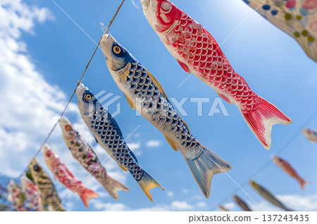 五月晴朗的天空下，飄揚著鮮豔的粉紅色和藍色鯉魚彩帶，這是日本傳統的慶祝場景。 137243435