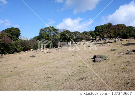 Ashizuri Ranch, Kochi Prefecture Ashizuri Ranch, Kochi Prefecture 137243667