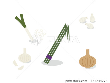 韭菜和大蒜香料蔬菜套裝，陰影插圖 137244278