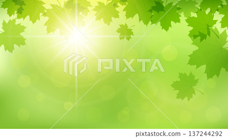 vivid summer floral background 137244292