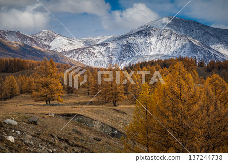 Scenic autumn forest with snowy mountains under cloudy sky Scenic autumn forest with snowy mountains under cloudy sky 137244738