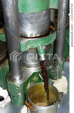 press of pumpkin seed oil press of pumpkin seed oil 137244744