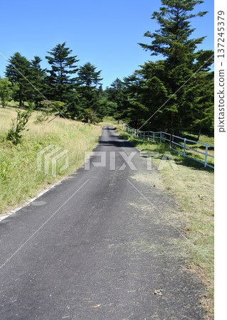 Farm road, road, asphalt, Farm road, road, asphalt, 137245379