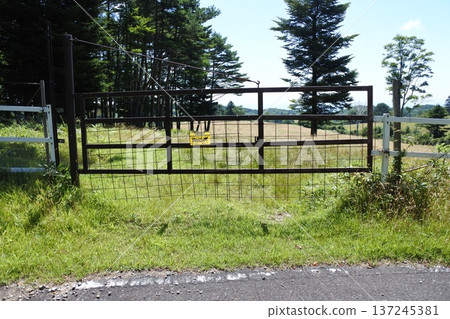 no Trespassing no Trespassing 137245381