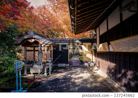 Autumn Foliage Surrounding Daitoku-ji Ryogen in Zen Garden Autumn Foliage Surrounding Daitoku-ji Ryogen in Zen Garden 137245662