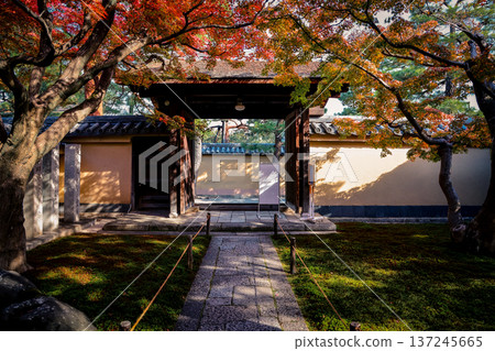 Autumn Foliage Surrounding Daitoku-ji Ryogen in Zen Garden Autumn Foliage Surrounding Daitoku-ji Ryogen in Zen Garden 137245665