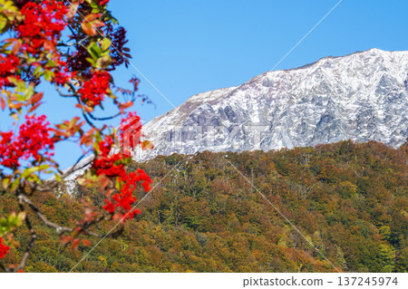 Autumn foliage in Oku-Daisen and snow-capped Mt. Daisen Autumn foliage in Oku-Daisen and snow-capped Mt. Daisen 137245974
