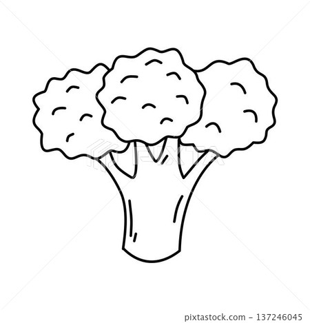 Broccoli vegetable Outline, coloring page Broccoli vegetable Outline, coloring page 137246045