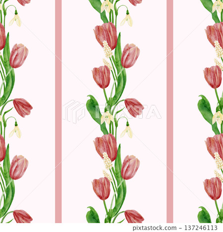 Seamless pattern with pink tulips and snowdrops, stripe. Hand-drawn watercolor illustration. Seamless pattern with pink tulips and snowdrops, stripe. Hand-drawn watercolor illustration. 137246113