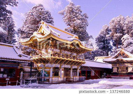 日光市、日光東照宮、雪中的陽明門 137246880